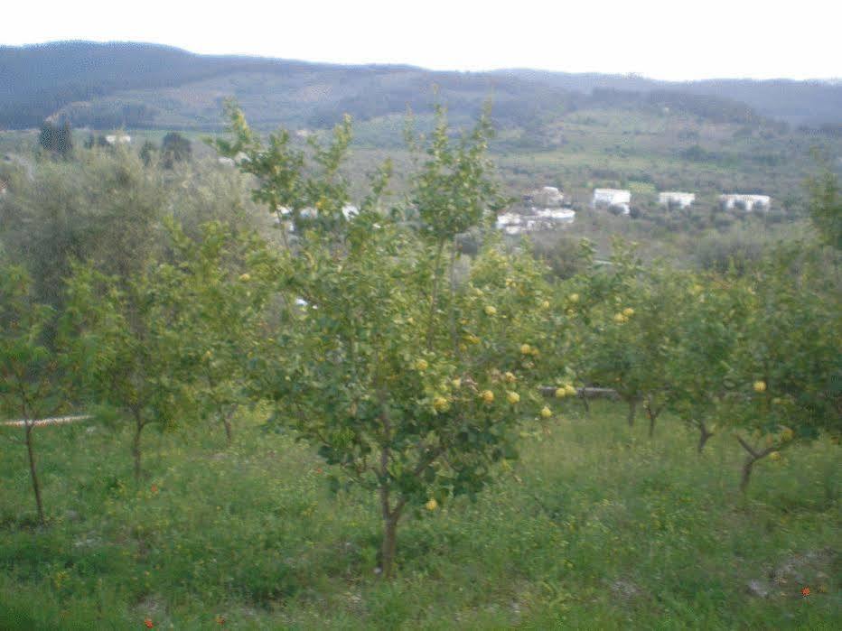 Parco Dei Limoni Guest House Peschici Bagian luar foto