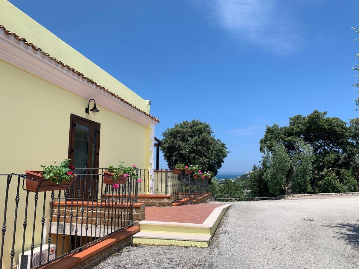 Parco Dei Limoni Guest House Peschici Bagian luar foto